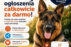 Szczeniaki na sprzedaż – znajdź swojego przyjaciela na OtoPupil.pl